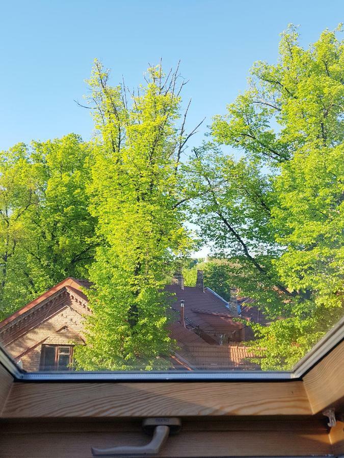 Exceptional Uzupis Bridge 3 Bedroom Apartment Vilnius Ngoại thất bức ảnh